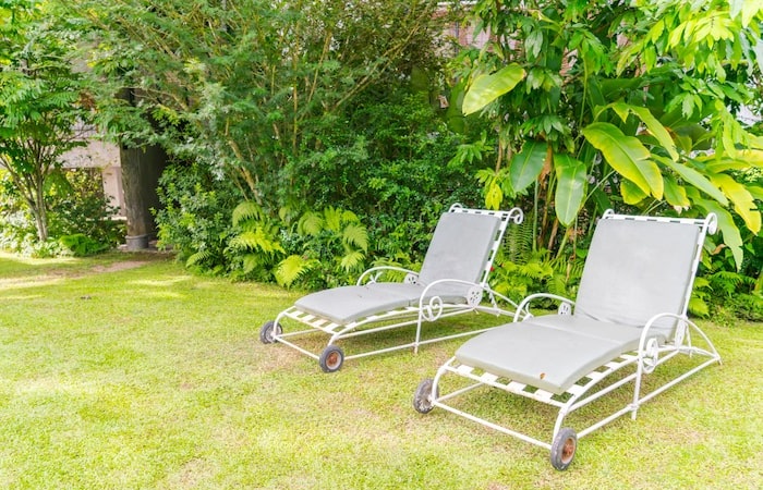 Garden tips DecoradHouse