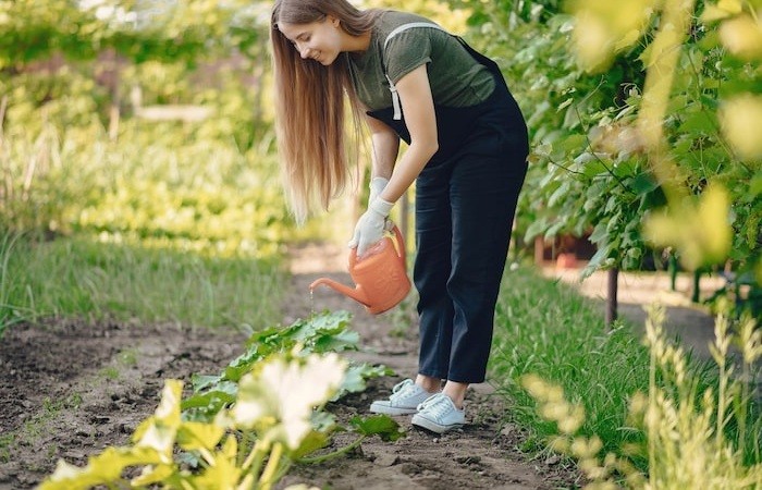 Garden hacks DecoradHouse